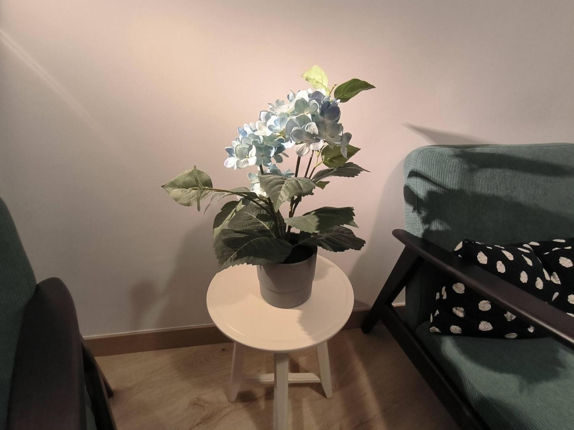Apartamento Zabala Conoce Bilbao Desde Dentro Luaran gambar